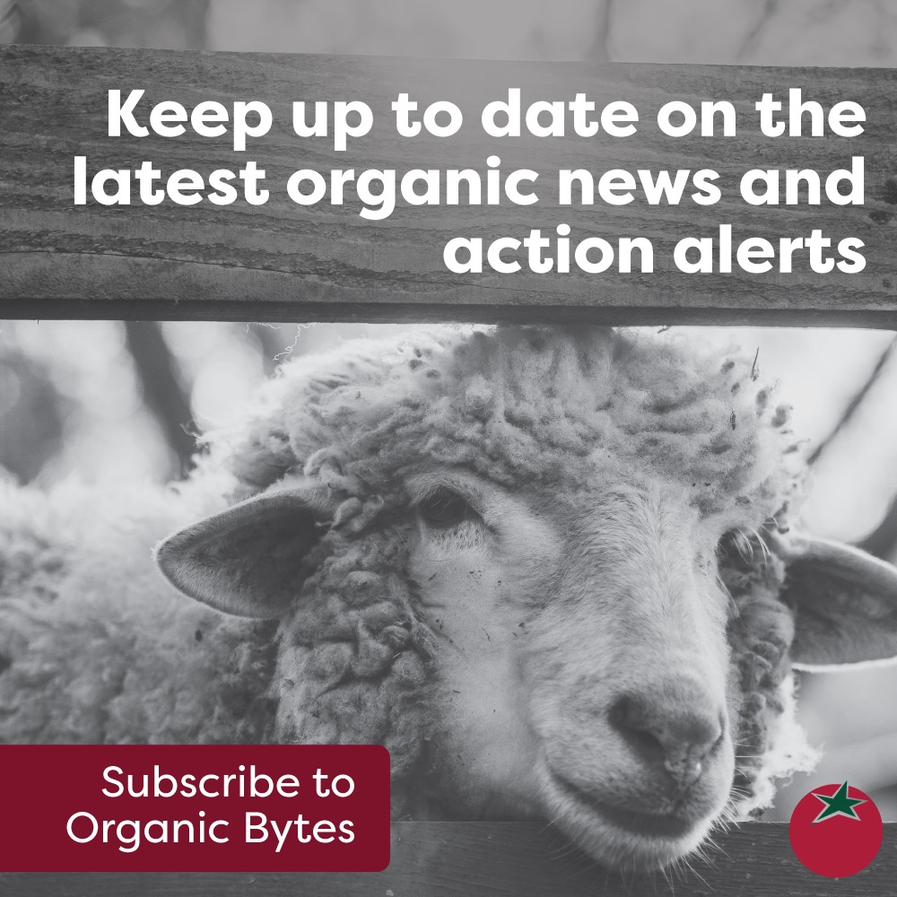 Want to take action on the issues you care about—pesticides, factory farms and GMOs? Subscribe to our newsletter, Organic Bytes! 

👉 orgcns.org/33TkUIi