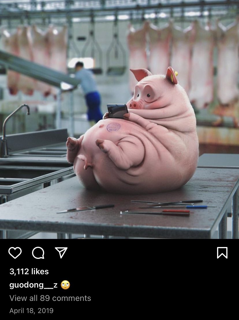 Xhy2wjmsazmrzm