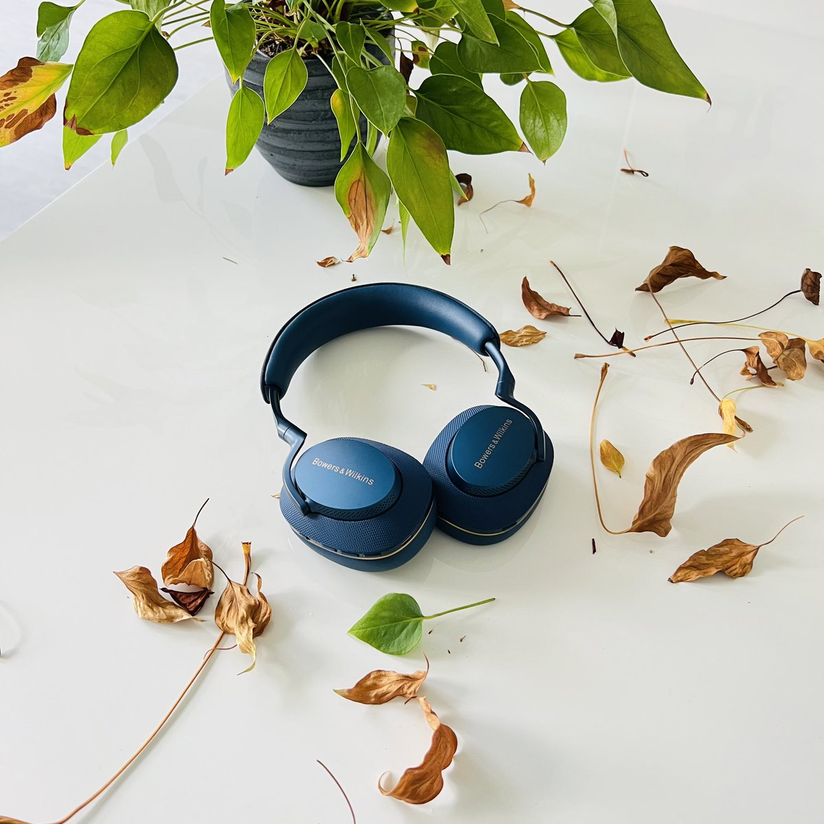 carefulopt's tweet photo. Have you watched our review on the new Bowers and Wilkins PX7 S2? 

Let us know what you think: 

Watch here: 

BOWERS &amp; WILKINS PX7 S2: The In-Depth First Impression.
https://t.co/xevJlnXpK7

@BowersWilkins https://t.co/XRWgQfl4KG