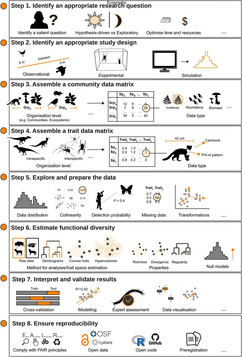 A protocol for reproducible functional diversity analyses
onlinelibrary.wiley.com/doi/10.1111/ec… #Ecosystem #functioning #standardized #protocols #Intecol2022