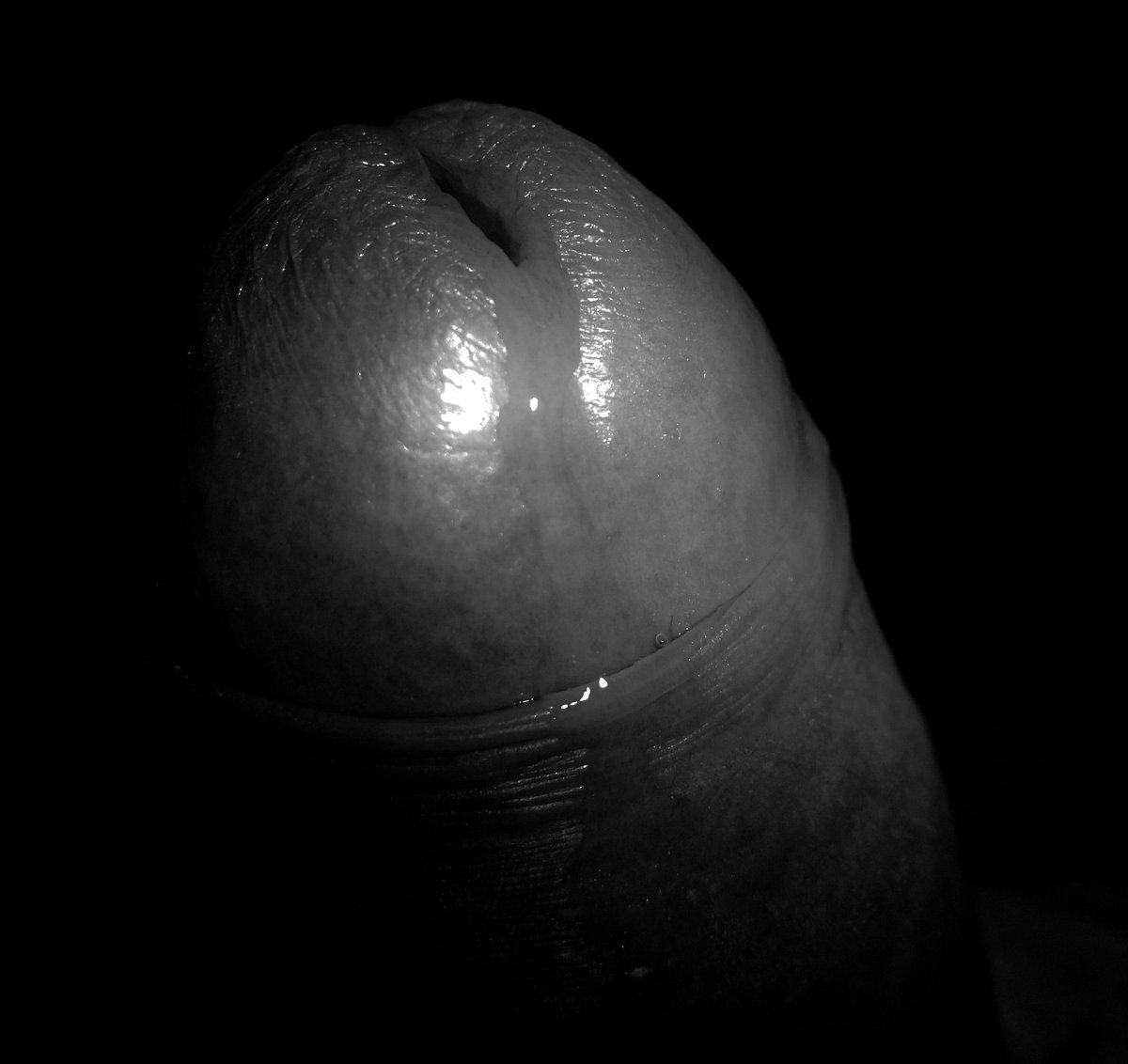 charlyoz13's tweet photo. #photosexe #hot #photohot #sexeaddict #sexpassion #artsex #sexart https://t.co/xJhf3pASSg