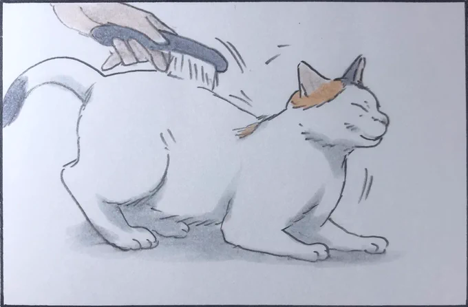 『このフワフワ何だろう?』 