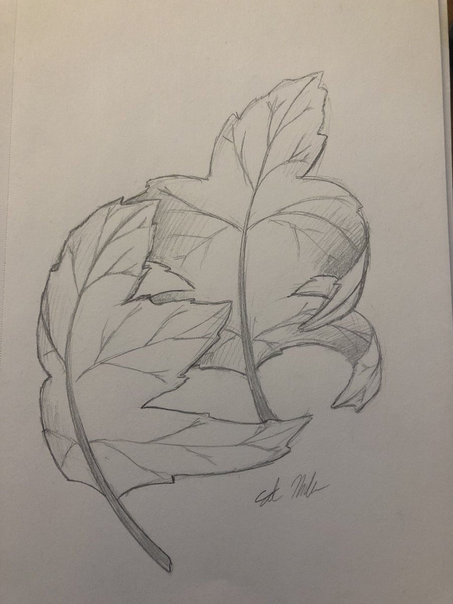 DamunchTheThird's tweet photo. Fell down at the end of Smaugust, in my defense I started a new job on Monday so there has been some stress.  But I’m continuing with Sketchtember.  This is actually yesterday’s prompts, leaves and happy.  I’ll try to get to today’s later

#sketchtember #dancingleaves https://t.co/Aur6VWUNri