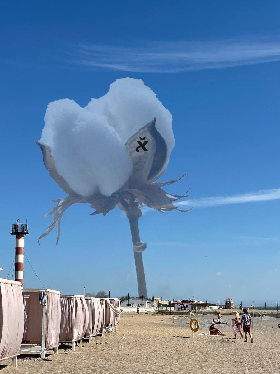 TDF_UA's tweet photo. 1/6 So what's the story behind all the “cotton” jokes you'll often hear Ukrainians using on social media? https://t.co/fSmCxxbCFi