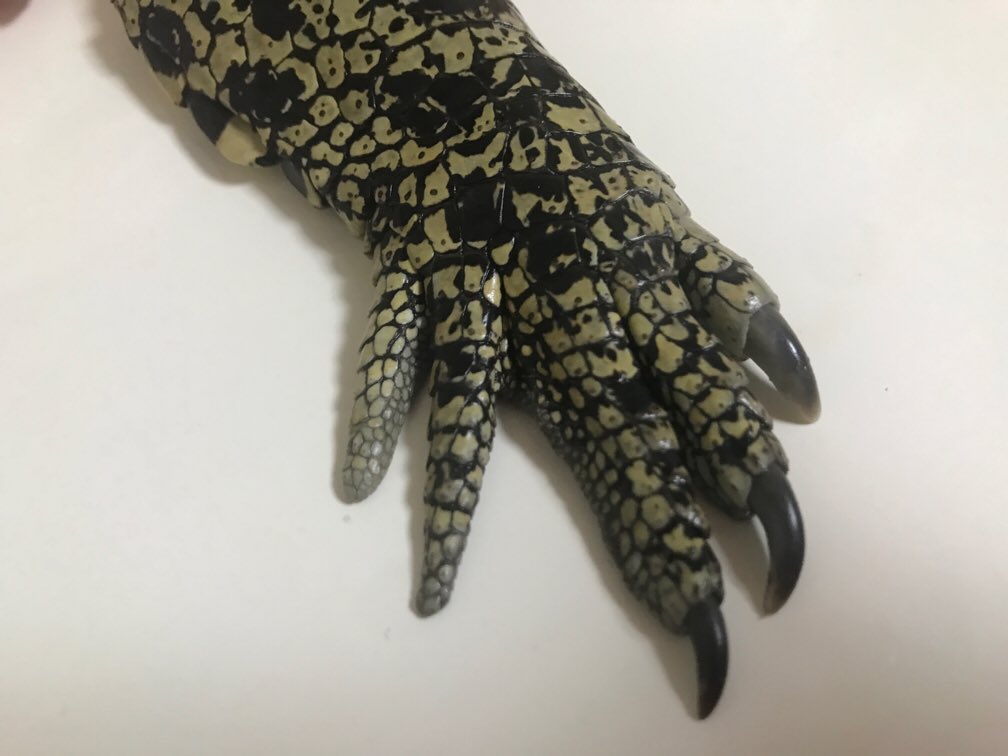 masa04088331's tweet photo. 超忙しく最近何もできなかったので頑張ったご褒美にワニっ♪ https://t.co/lZ19afyuTu