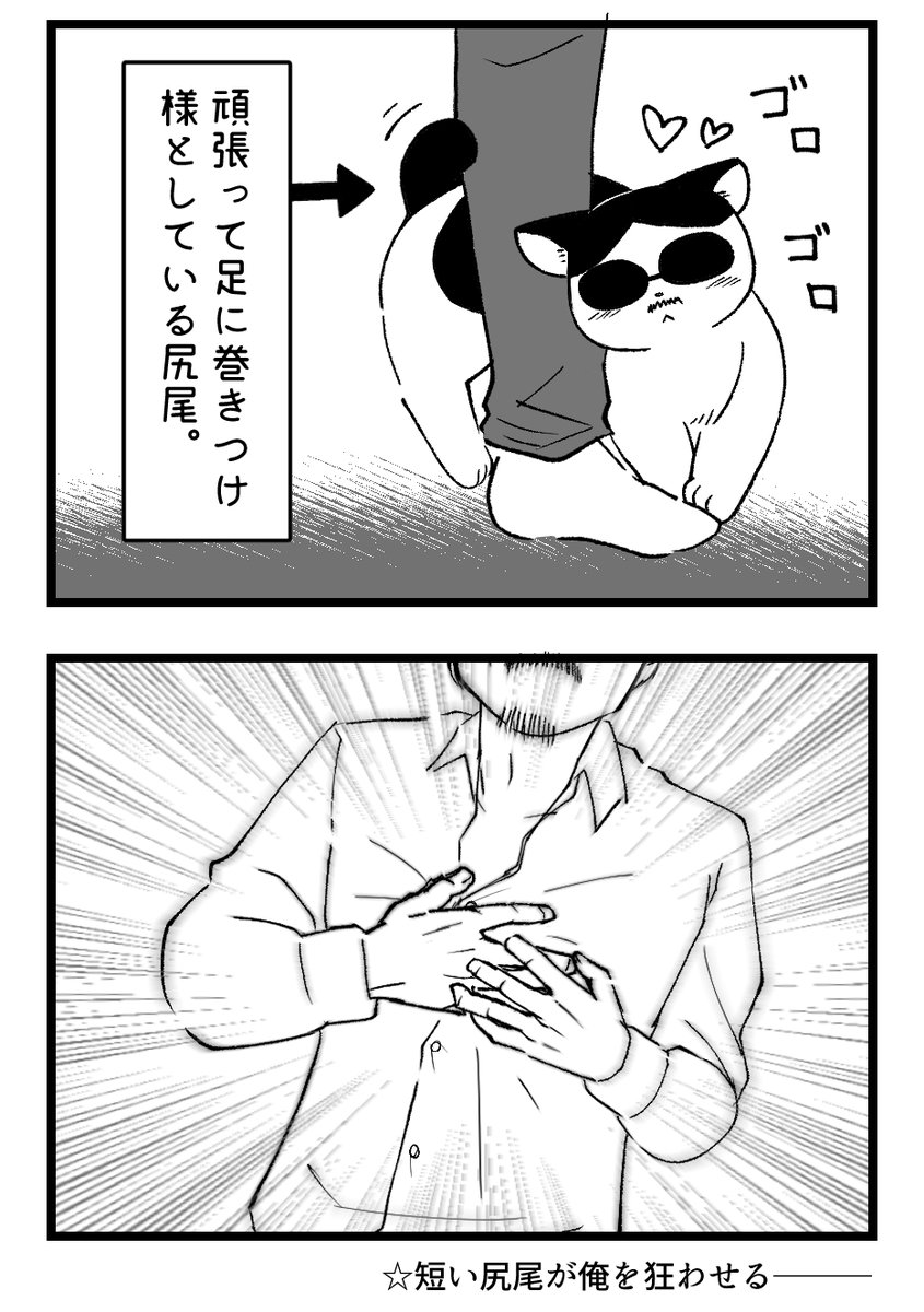 みんな違ってみんな良いよね漫画。
猫好きの人ならあるある!って言って貰えるかな?
長いのも短いのも大好き…尻尾には幸せが詰まってる…。 