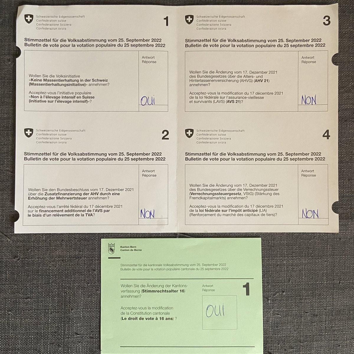 nashtags's tweet photo. A voté ! 🇨🇭🗳 #CHvote #Abst22
✅ Initiative contre élevage intensif 
❌ Relèvement taux TVA
❌ Réforme des retraites AVS
❌ Abolition de l’impôt anticipé 
—- #BEvote
✅ Droit de vote cantonal à 16 ans https://t.co/SSEsq4XdbE