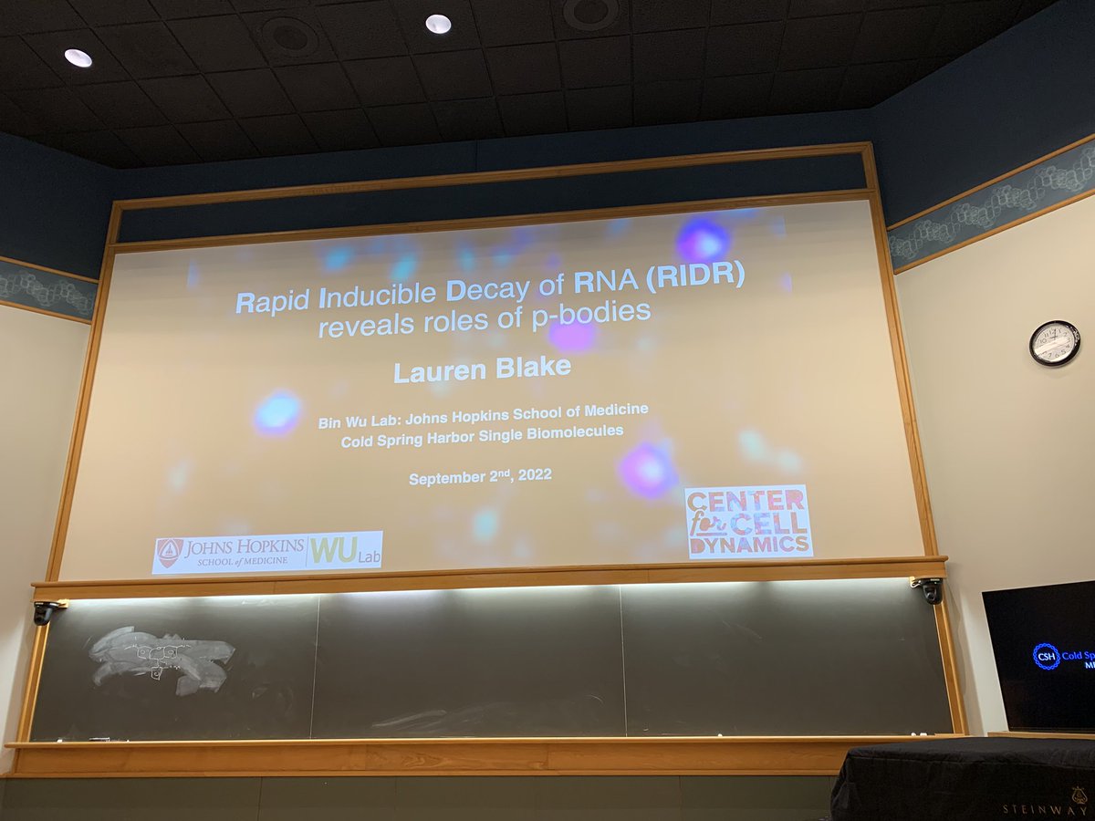 Bin Wu Lab (@binwu1) on Twitter photo Lauren Blake <a href="/LABlake93/">Lauren A Blake</a> in the lab from Biophysics Department <a href="/BiophysicsJHMed/">Biophysics Dept@Johns Hopkins Med</a> <a href="/JHU_Mol_Biophys/">Program in Molecular Biophysics at Johns Hopkins</a> presents inthe Cold Spring Harbor Single Biomolecules meeting Lauren Blake <a href="/LABlake93/">Lauren A Blake</a> in the lab from Biophysics Department <a href="/BiophysicsJHMed/">Biophysics Dept@Johns Hopkins Med</a> <a href="/JHU_Mol_Biophys/">Program in Molecular Biophysics at Johns Hopkins</a> presents inthe Cold Spring Harbor Single Biomolecules meeting