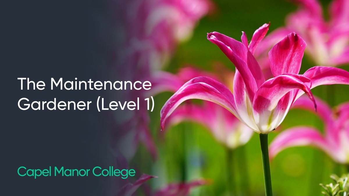 Capel Manor College tweet media