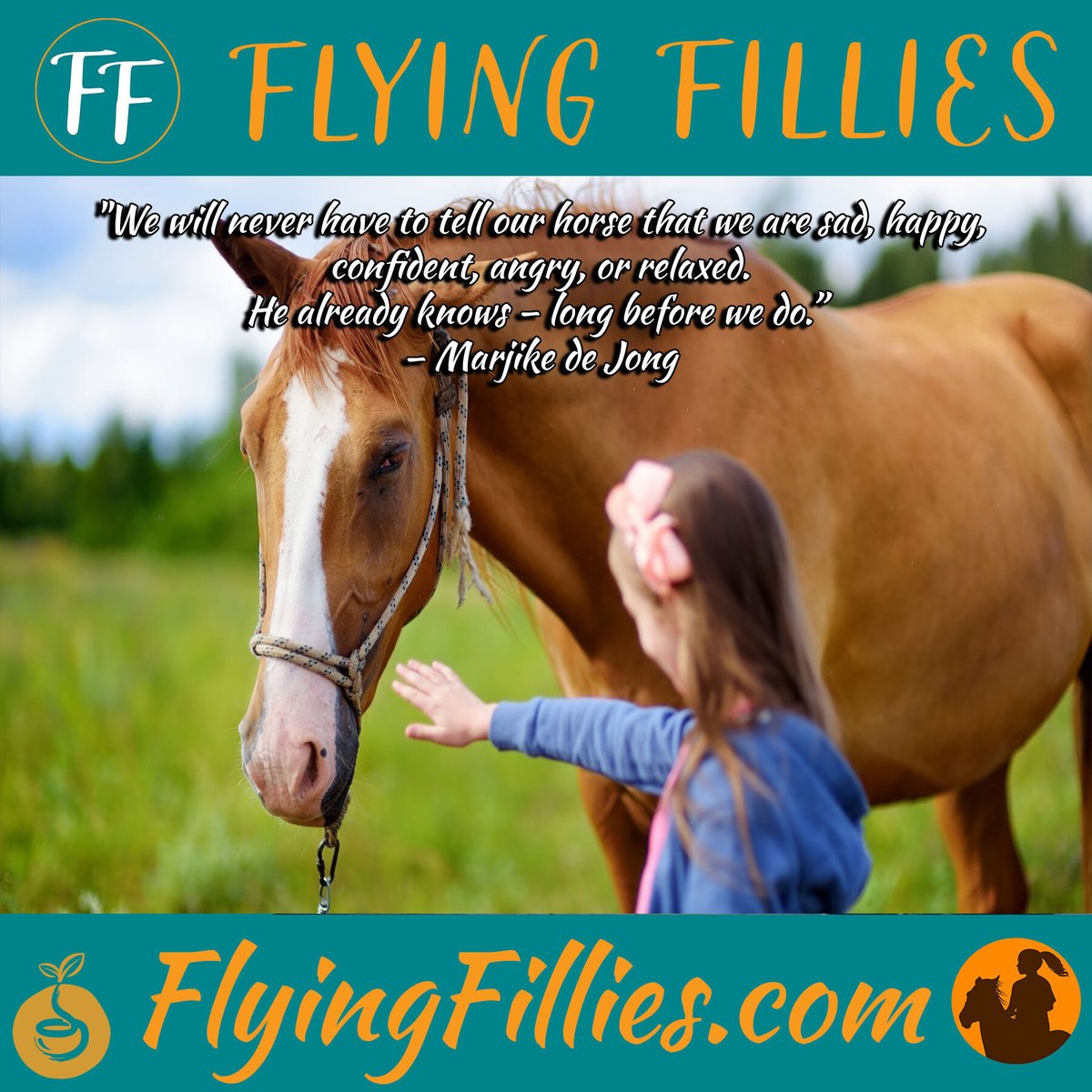 christyhuichat's tweet photo. βWe will never have to tell our horse that we are sad, happy, confident, angry, or relaxed. He already knows β long before we do.β β Marjike de Jong
#horses #horsequotes #horseriding #horseracing #equestrian #horselovers #pony #riding #horselovers https://t.co/40djKVgPoK