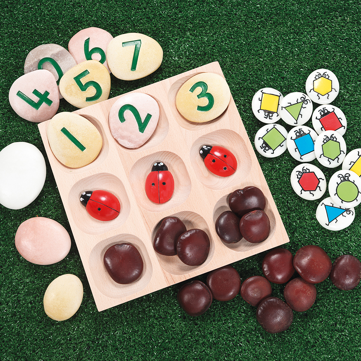 We've just added some great new lines to our "New Arrivals" section on the website. One of the standouts being these cool natural sorting trays! Find out more - cleverkids.ie/new
.
.
#educationaltoys  #Irish #education #Tuff #roleplay #edchatie #naturaltoys #developmental