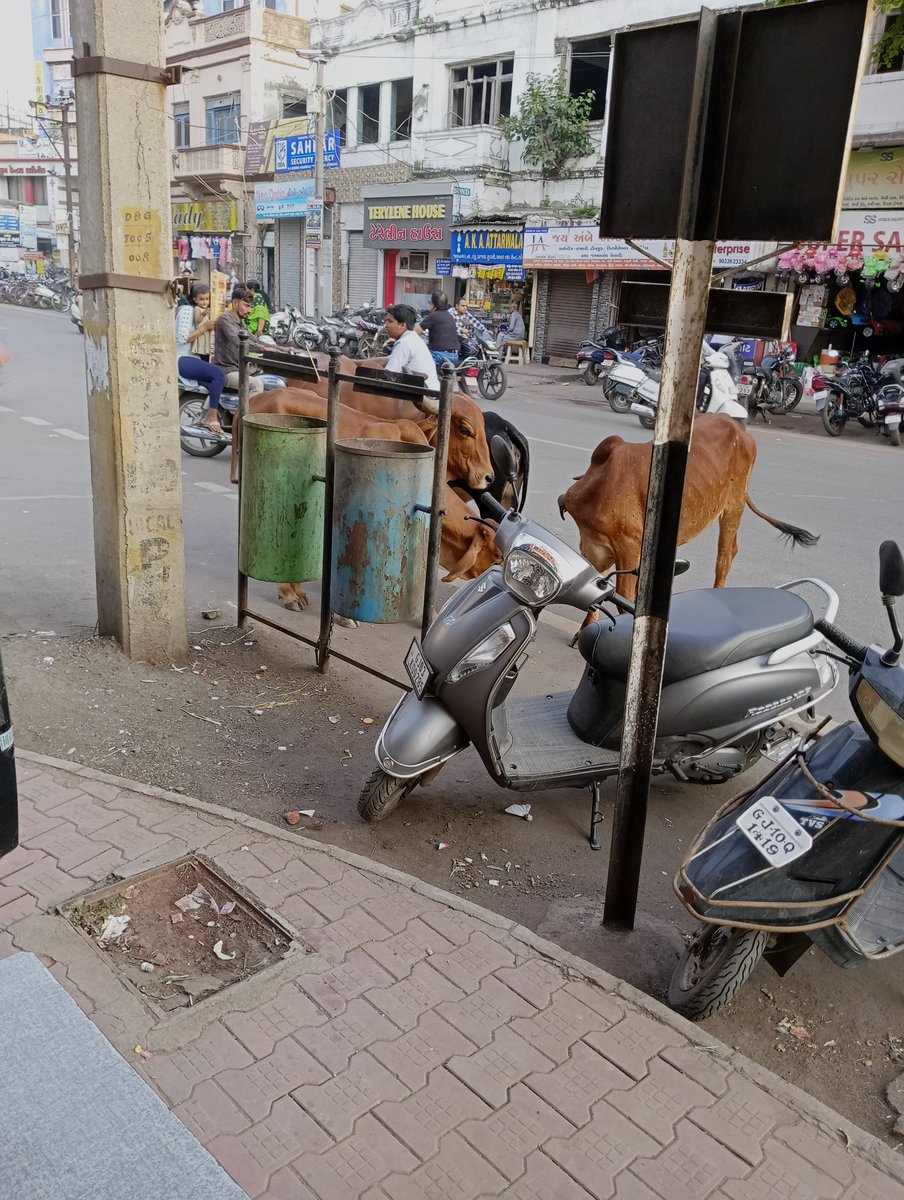 mohammed_key's tweet photo. @jmccommissioner. Jai hind sir Yaha Ranjit Road pase cow no bowj tras che.... Wahan ma nuksani pan kari nakhe che ane gandgi pan ghani thai che.. Aap saheb thi namra vinanti che ke koi ukel karawi aapiye.... 🙏 https://t.co/VbFbVhuT4j