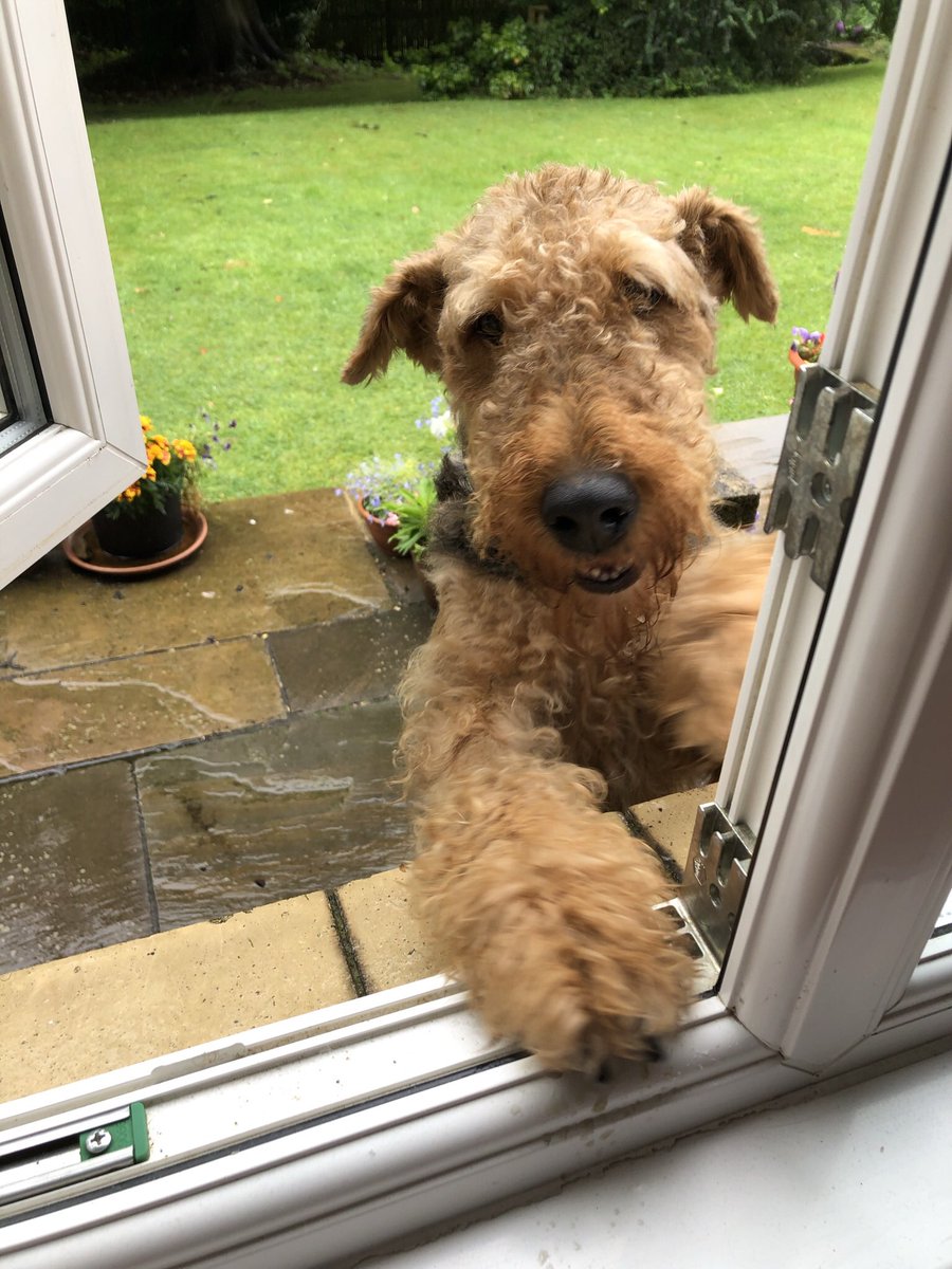 RubyAiredale🌈 🌉💔🐾 tweet media