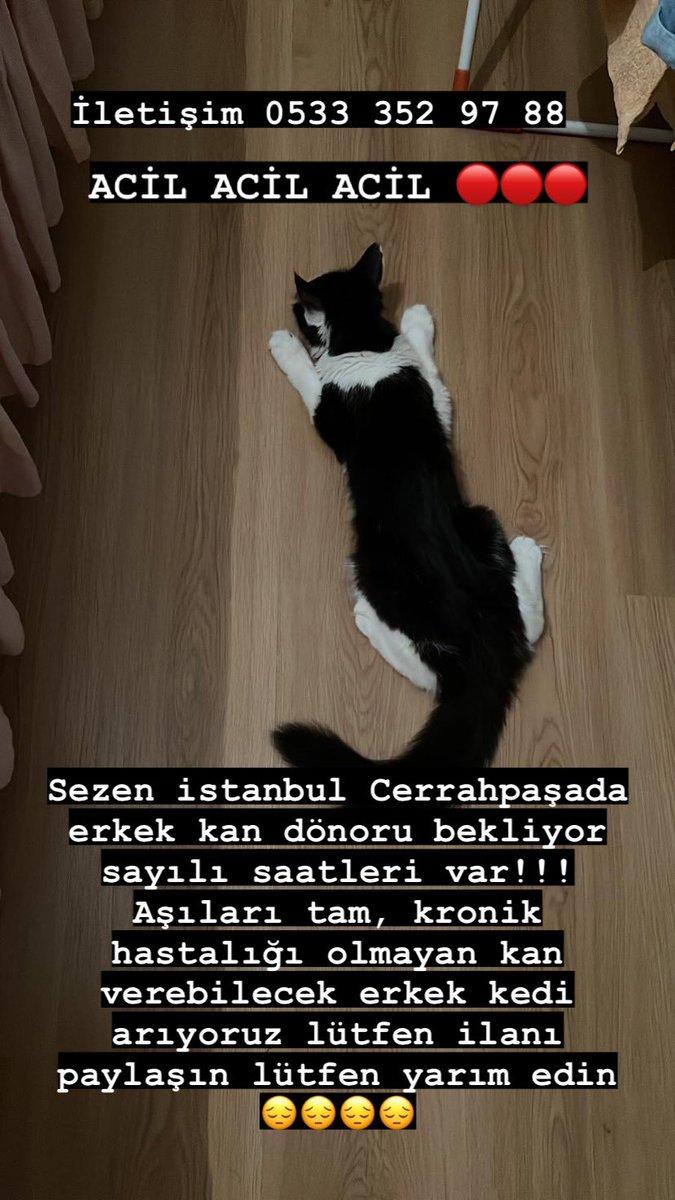 Acil acil acil elden ele yayalım lütfen durumu çok kritik 
<a href="/Mythanderz/">Mythander</a> 
<a href="/SvmGrdl/">müneccim tercüman</a> 
<a href="/DirenOrtak/">Diren Ortak & Badem</a> 
<a href="/GurbuzFip/">Fip_savaşçısı_Gürbüz</a>