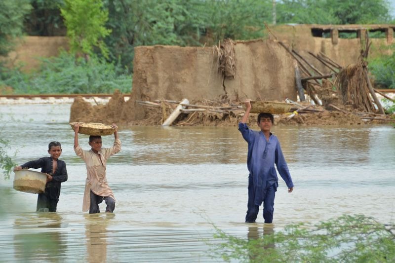 PakistanCaritas's tweet photo. Pakistan hit so badly by severe flood this year, which swept everything and destroyed millions houses all over the country. People are in desperate need
#FloodsInPakistan
#NeedsHumanity
#HumanitarianCrisis
#JoinhandsforHumanity
#CaritasPakistan https://t.co/KBba3Eo06o