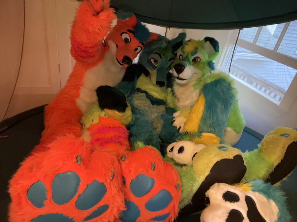 Avi Fox🍊🦊 tweet media