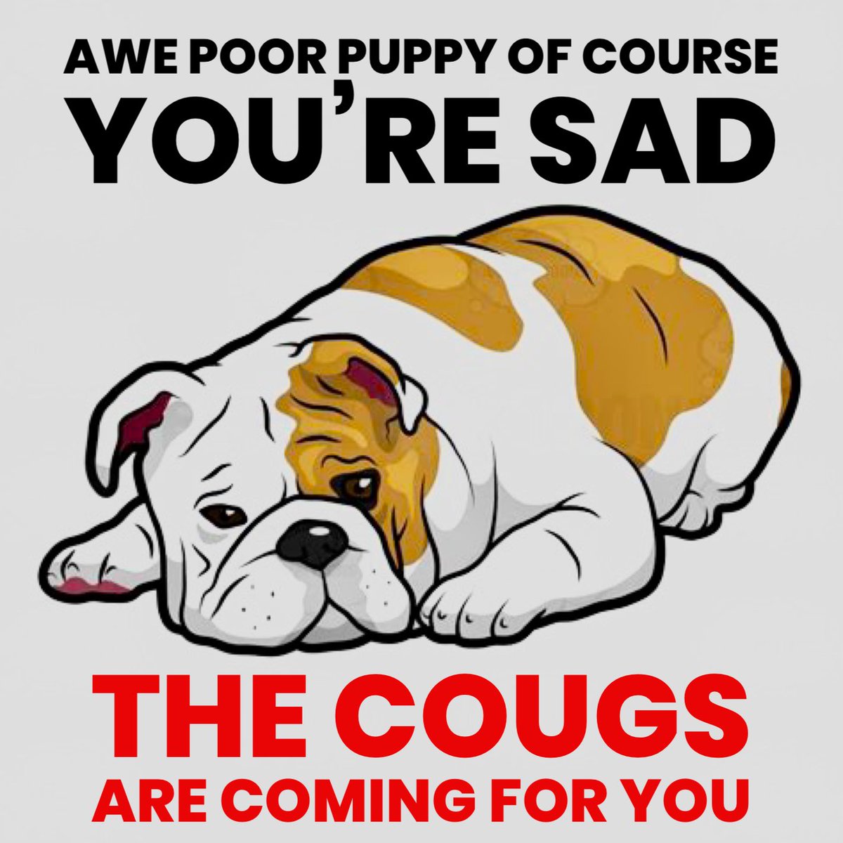 ReckingCrewVW's tweet photo. Someone will be in the dog house tonight and it wonโt be the Cougars! #BeatDefiance ๐พ๐ #GoCougs https://t.co/ti5h5UhC2O