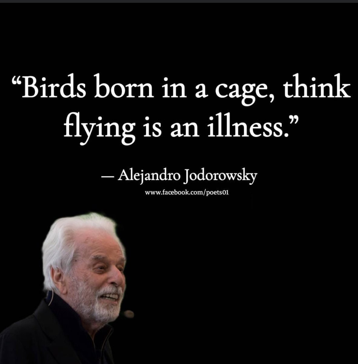 raisemefish's tweet photo. If you are going to quote someone, at least quote someone that knows the difference between birthing and hatching! 🙄 https://t.co/6OZwpuZVpG