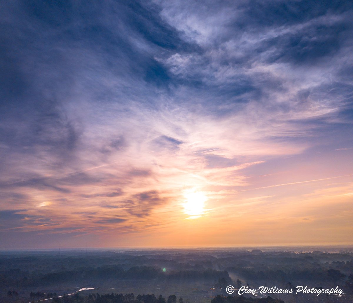 CwilliamsPhoto's tweet photo. Happy Friday! https://t.co/jgsHQPxzcP