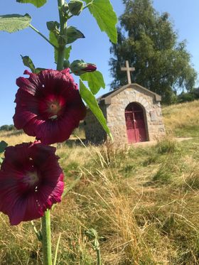 chainedespuys's tweet image. #InstantPhotos 📍 Merci à César et Monique pour ces photos prises depuis la chapelle Saint-Aubin et Orcines ! 😍
#chainedespuys #puydedome