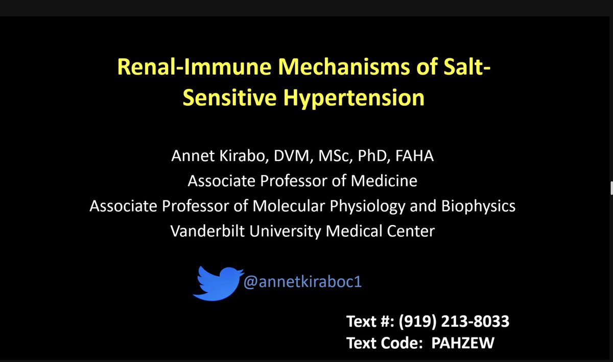 Nephro_Sparks's tweet photo. great to have @annetkiraboc1 at @DukeKidney virtually to give grand rounds. She is a leader in hypertension research unraveling the immune mechanisms of hypertension. https://t.co/6iD3I82UbC