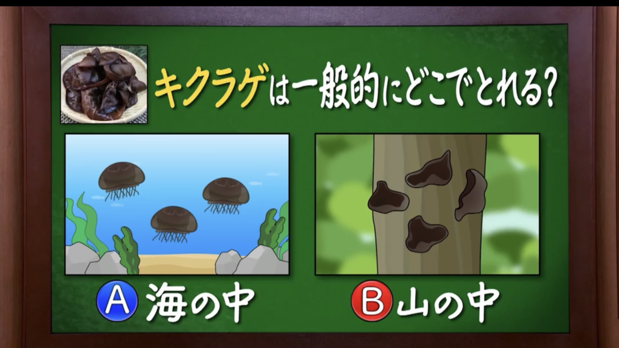 キクラゲインザシー Twitter Search Twitter
