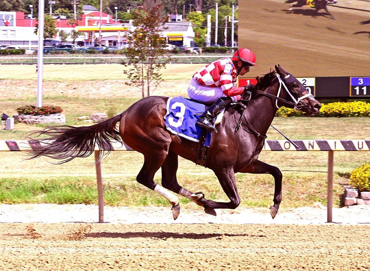 AnchorHopeFarm's tweet photo. Evolution of a winner! Congratulations to our friend + owner/breeder @GJoelpoliti on his debut win with Bosserati in the 3rd at Timonium! Shoutout to @MrsRussell26 for having this Holy Boss filly ready to roll today with @GeraldAlmodova3 up! #mdbred #mdsired #holyboss https://t.co/5020c6lvVv