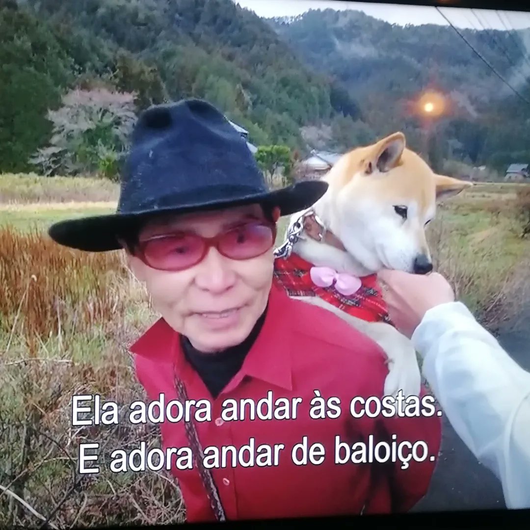 Cosmicrocketman's tweet photo. Ilustração depois de ver um episódio da série documental "A pedalar pelo Japão" 🐶❤️ #ilustração #doglover #CycleAroundJapan #drawing https://t.co/aqt1gkqqFU