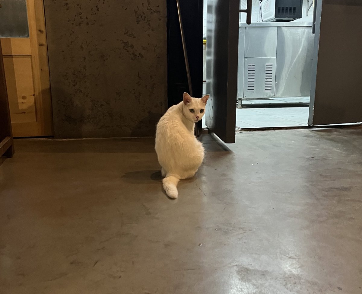 kaarikollective's tweet photo. Our cutest volunteer for KAARI KONNECT! 🙈

Helping us setup😂 https://t.co/abq5Iq6to0