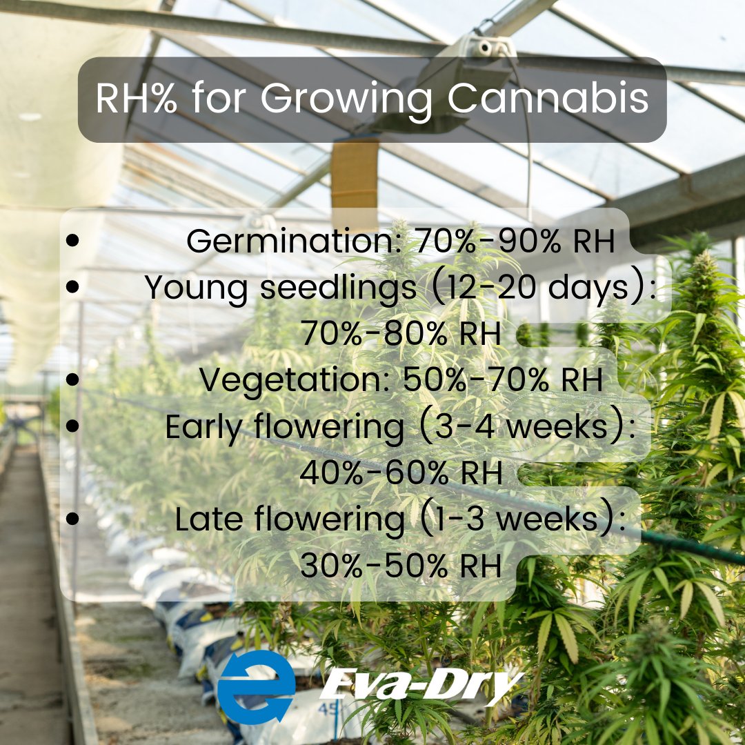 Eva_Dry's tweet photo. #IndoorGardening for #Cannabis, #EvaDry is Eco-friendly and is perfect for use in your grow tent to reduce the excess #moisture and keep your harvest healthy. https://t.co/jFNoJdM33z