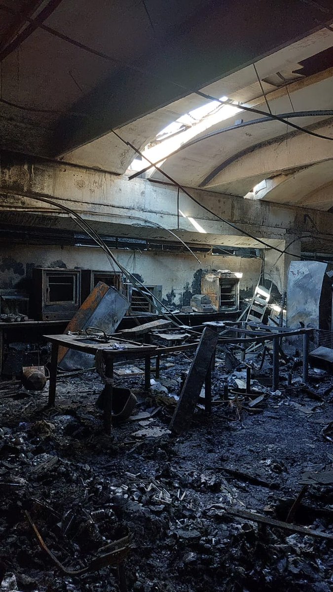 Last Wednesday my lab was completely destroyed by the fire. We are safe, but we lost our all samples and equipment. Although, we are strong and we will keep doing our best to advance in the knowledge about evolution of repeats on insect genomes.