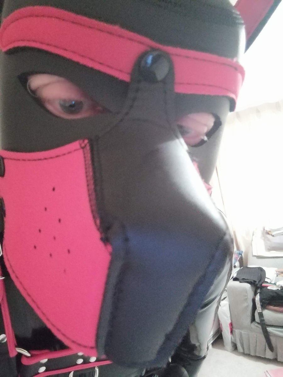 ru33erdrone's tweet photo. @Pup_Hunterfurry
#wallproject
*"BORK" *!! https://t.co/juyYKJMrUI