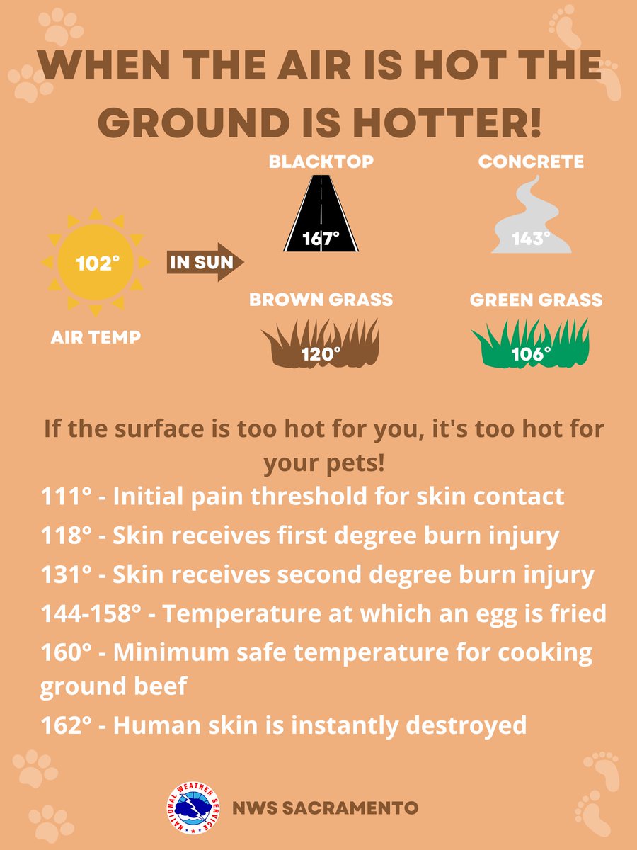 NWSSacramento's tweet photo. 🐕 Plan to walk the dog early in the morning or late in the evening for the next few days. In the sun, ground surfaces are often hotter than the air temperature and can cause injury to bare paws or feet! #CAwx https://t.co/aoxJ80xHRa