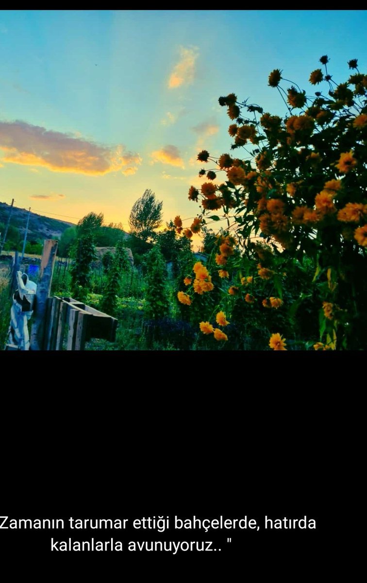 selcan (@selcan_pq) on Twitter photo 