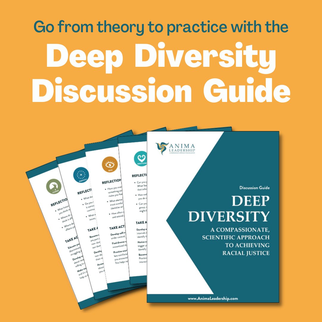 I wrote Deep Diversity as a tool for people wanting to build their racial justice literacy. But my book is just the beginning: true racial justice literacy comes from practice and application. That’s why we’ve pulled together a Discussion Guide as a companion to the book.