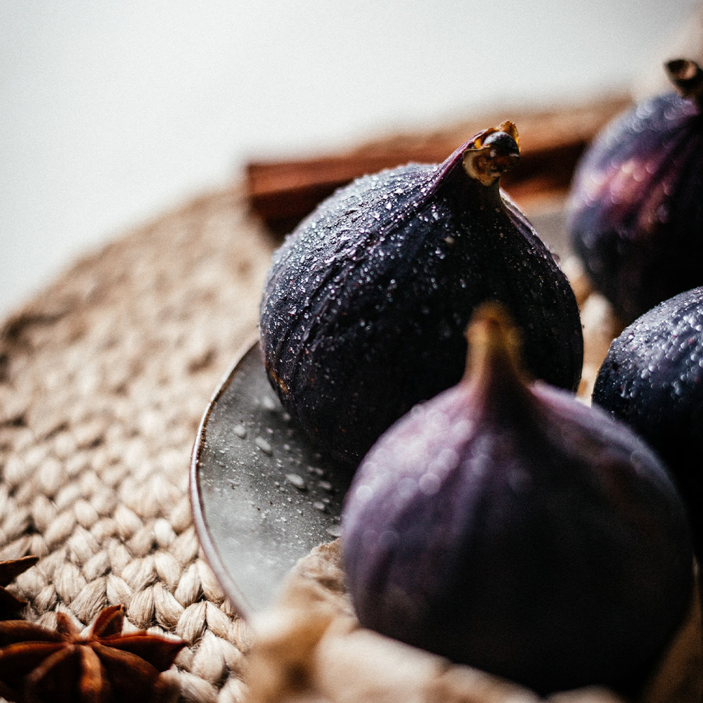 Esteban Paris USA tweet media