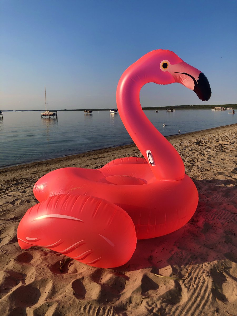 CameraCat's tweet image. Wednesday was SO hot, and I had a free day, so I took myself to the beach. It was amazing!! I stayed until sunset, because it was so lovely. I even had an ice cream at a little stand that was playing flamenco-style tunes.
Bliss. 
#MaMiOBeach #BeachDay #AlbertaSummer