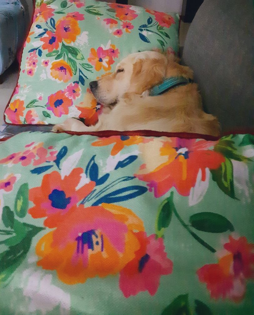 Gute Nacht 😴 finally got my account back. Twitter mischievously tried to suspend it but not this time!