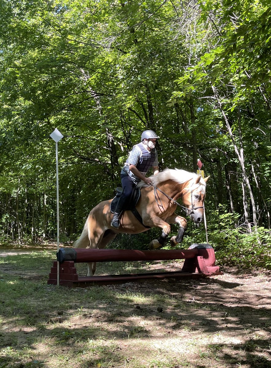 This is what I got up to today when not doing the lawyer thing.