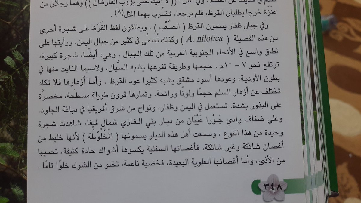 محمد بن سعود البيضاني tweet media