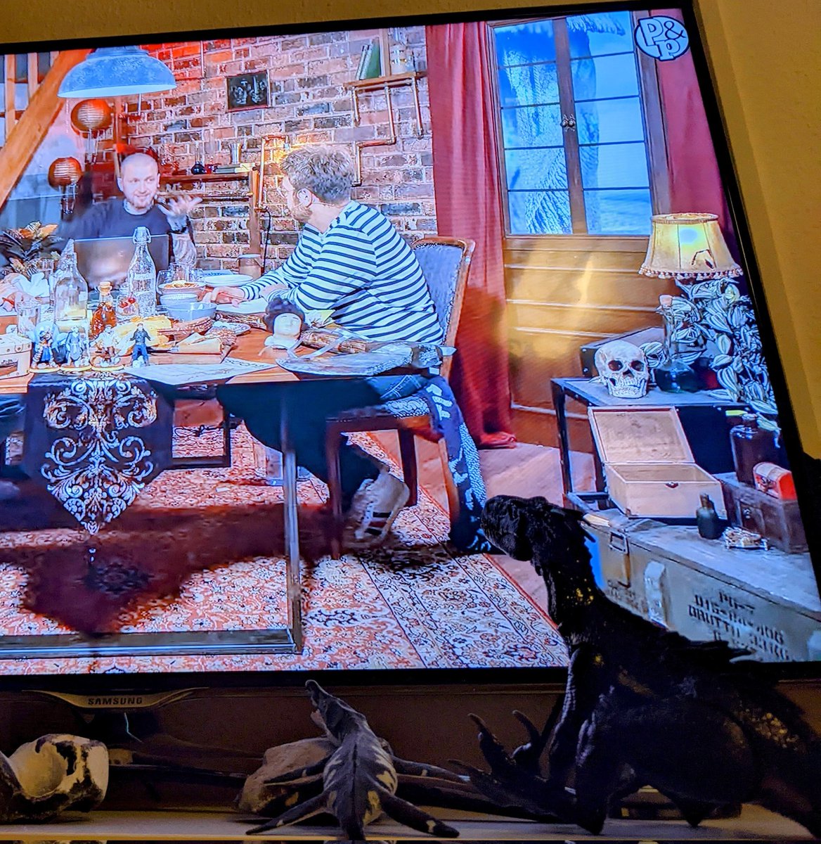 Valcarys's tweet photo. Meine Dinos sind bereit für ein weiteres Abenteuer 🦖

#spitzestifte #Ultracore #rocketbeans #rbtv https://t.co/TkzENWf8vW