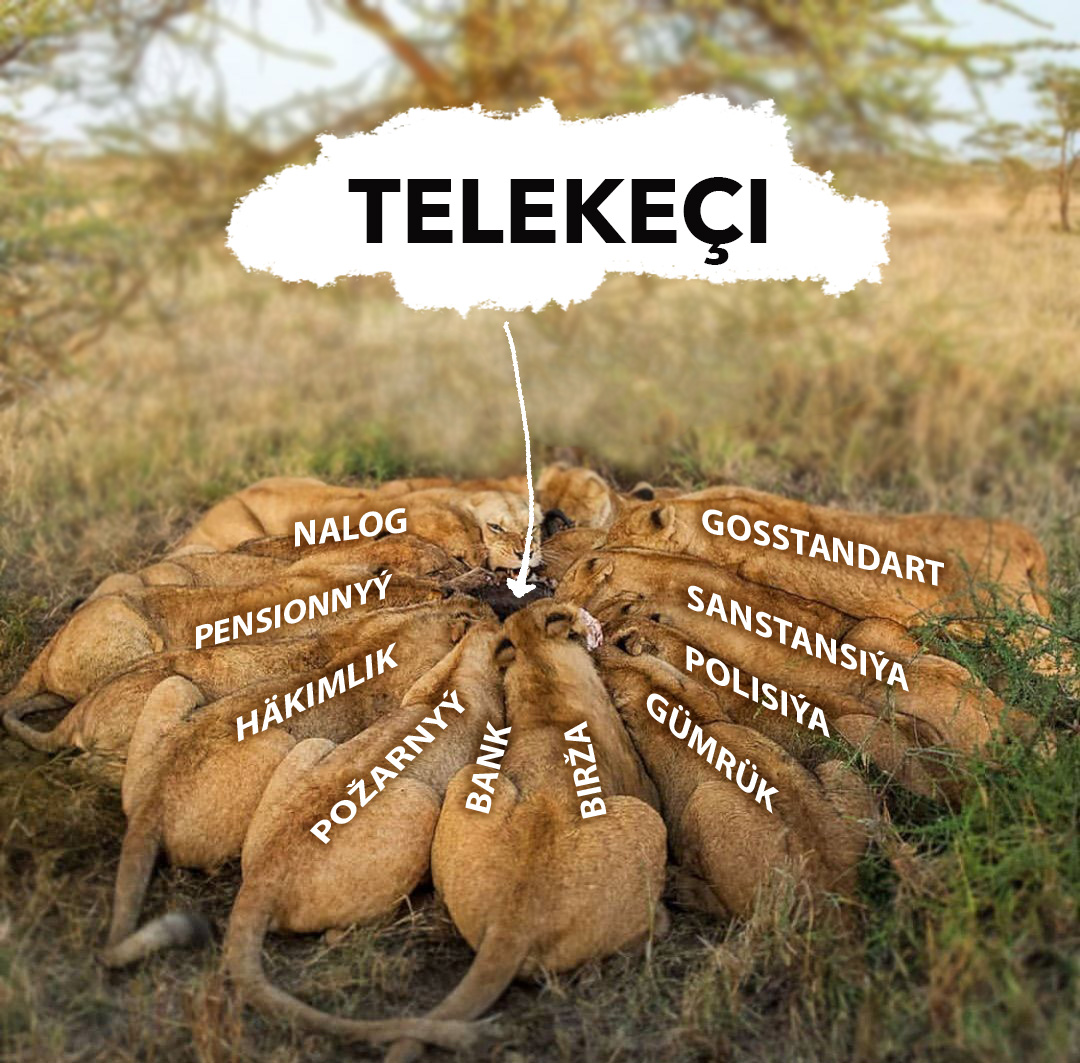 OnlineProgres's tweet photo. A businessman #Turkmenistan IMO-da görülen #ilat #sesler https://t.co/rM2nUxAD4H