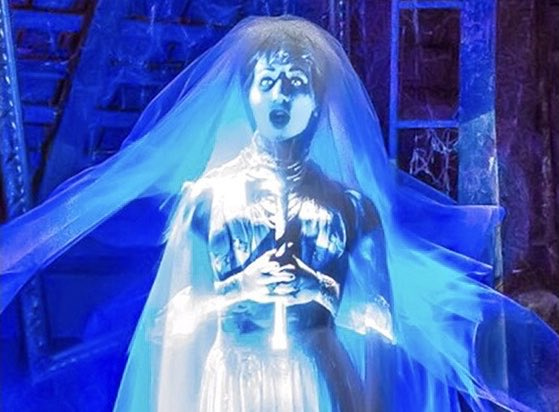 KatCressida's tweet photo. SO... #FunkoFriday 🌈
is a THING- RIGHT?!😛
⭐️TOMORROW September 3rd⭐️
LIVE DISNEY EVENT🏰
15 MIN from #Disneyland
autographing✍🏻 @SiccPopps!
Ring in 🎃 #HalloweenSeason 🎃
with 🔮#HauntedMansion Panel
JOIN this INCRED EVENT
benefitting @NoKidHungry
#PopCollectors #FunkoPops https://t.co/3swj4C75rD