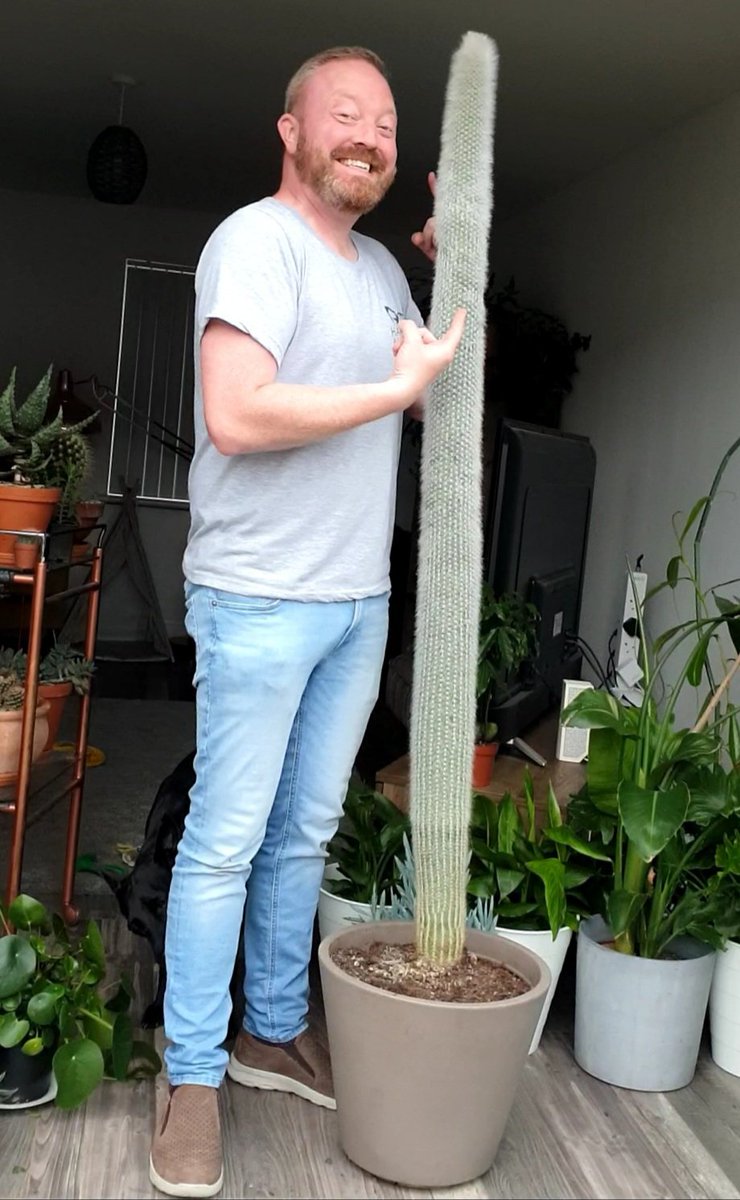MrAnimalNut's tweet photo. Here stands a 6ft prickly bastard, and beside it a beautiful cactus!  
Welcome home Prickchard 
🌵💚 https://t.co/EX2C2WTMP8