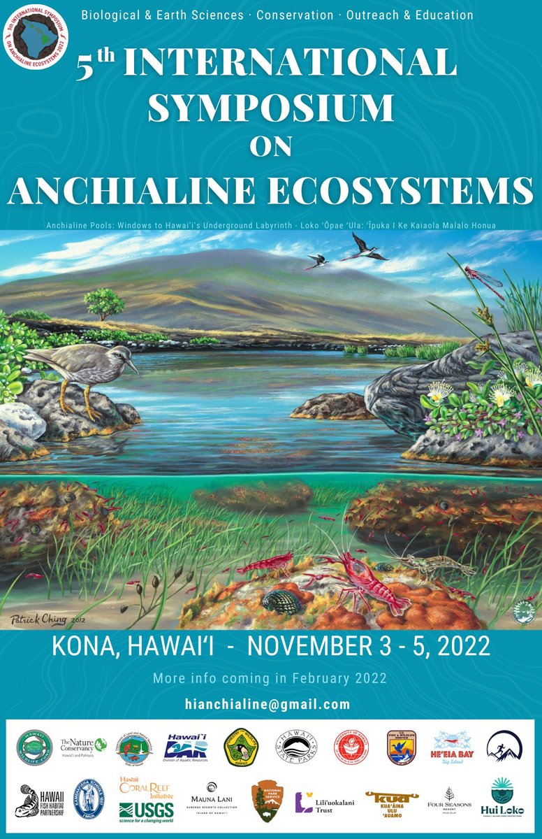 Sign up for the 5th International Symposium on Anchialine Ecosystems, which we are helping to organize, and hear about the latest science and restoration efforts for these globally unique pools of brackish water teeming with life.  
short.url/aBcXyZ 
Photo by J. Gaughan