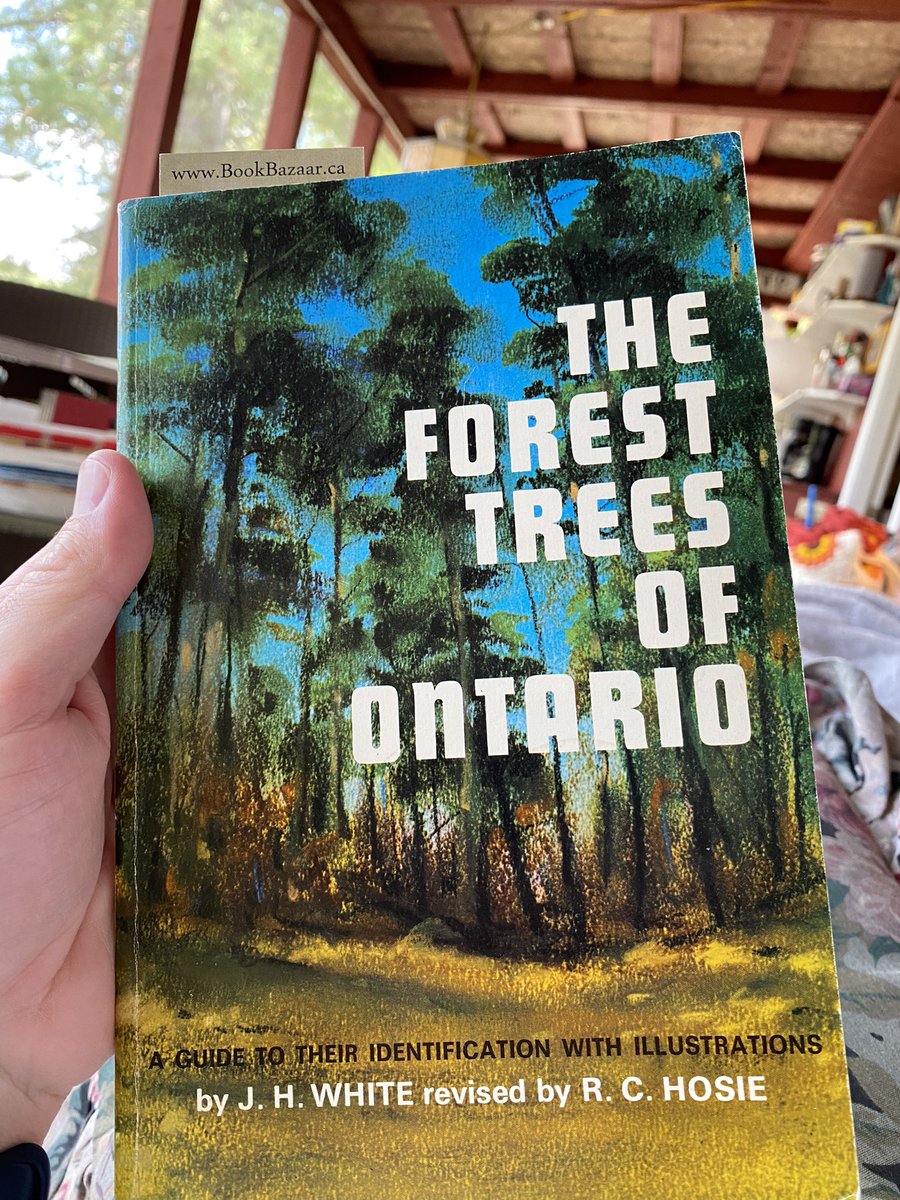 Valencik's tweet photo. Preamble to the section on classifying different trees: “To describe these differences precisely, the use of a certain number of special terms is unavoidable.”

This is the kind of honesty we should use in monad tutorials. https://t.co/mXuGT80tJq