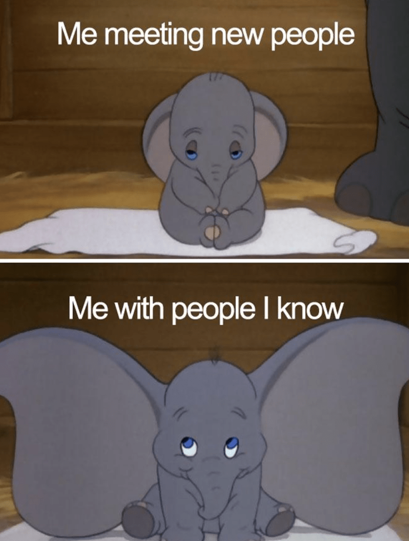 WholesomeMeme's tweet photo. https://t.co/JGxoaZxhGA