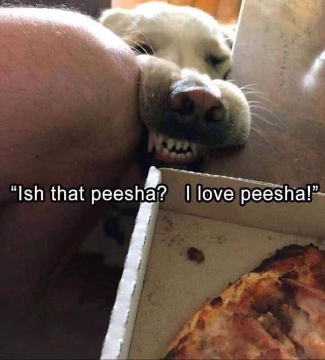 WholesomeMemes (@wholesomememe) on Twitter photo 