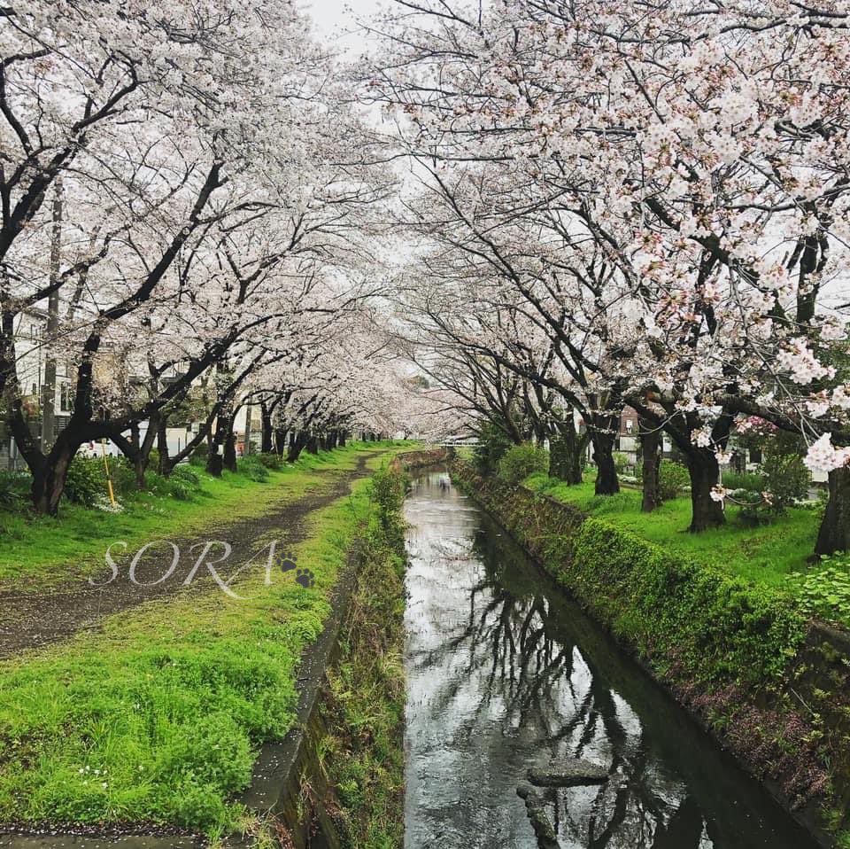 Umo8lywax21hum Umo8lywax21hum