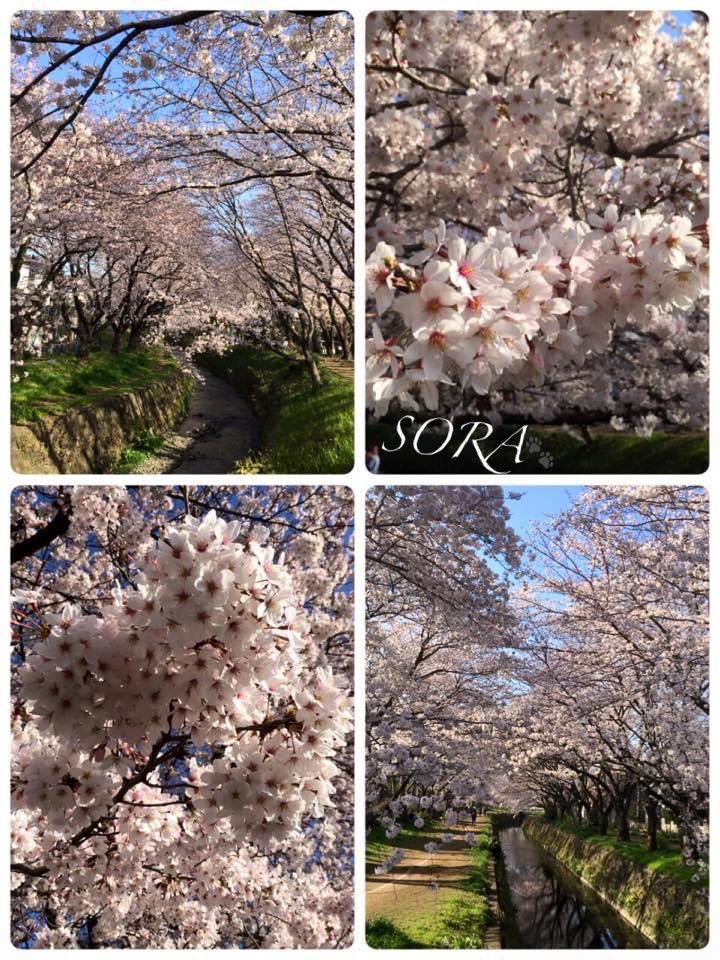 Umo8lywax21hum Umo8lywax21hum